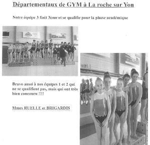 les départementaux de gymnastique