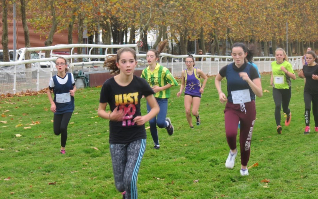 CROSS DEPARTEMENTAL – LES RESULTATS