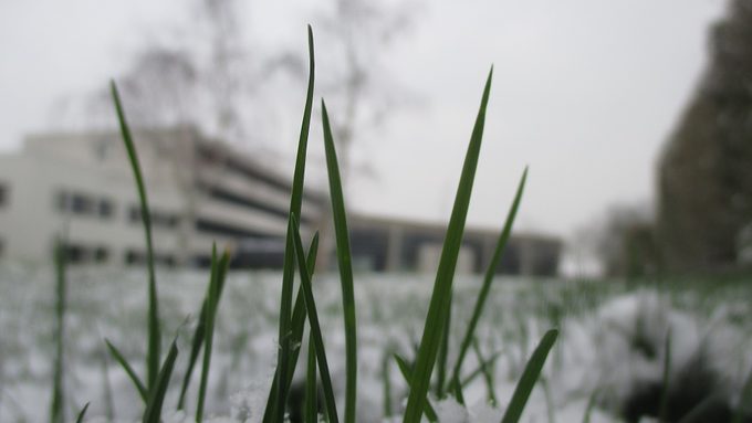 CE QUE VOUS AVEZ MANQUÉ AU COLLÈGE JULES FERRY…