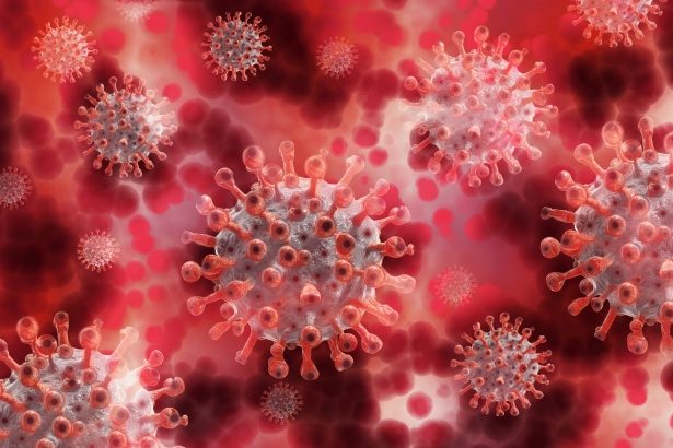 Informations pour comprendre les virus et l’épidémie de COVID-19
